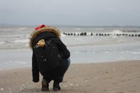 Aktion Muscheln sammeln