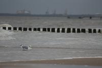 gemütlich im Wasser