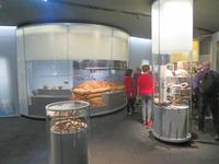 Führung in der Slawenburg Raddusch