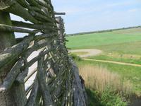 Blick von der Slawenburg Raddusch