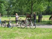 Fahrradtour im Spreewald