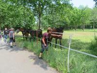 Fahrradtour im Spreewald