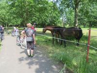 Fahrradtour im Spreewald