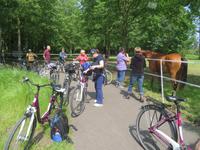 Fahrradtour im Spreewald