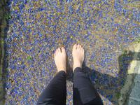 Barfuss-Park bei Burg im Spreewald