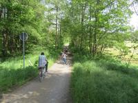 Radtour im Spreewald bei Burg