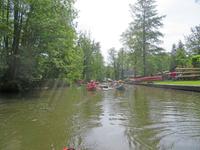 Paddeltour im Spreewald