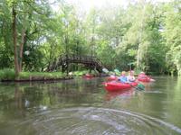 Paddeltour im Spreewald bei Lübbenau