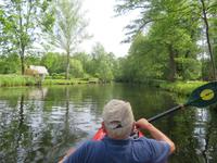 Paddeltour im Spreewald