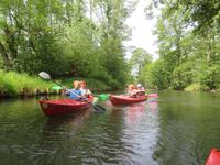 Paddeltour im Spreewald