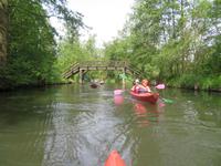 Paddeltour im Spreewald bei Lübbenau