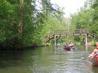 Paddeltour im Spreewald bei Lübbenau