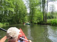 Paddeltour im Spreewald
