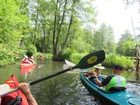 Paddeltour im Spreewald