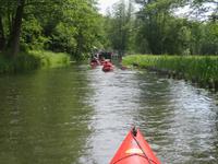 Paddeltour im Spreewald