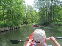 Paddeltour im Spreewald