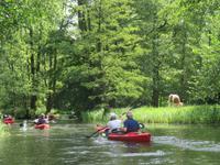 Paddeltour im Spreewald