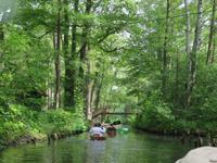 Paddeltour im Spreewald