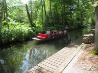 Kahnfahrt im Spreewald