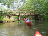 Paddeltour im Spreewald