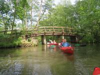 Paddeltour im Spreewald