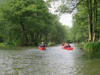 Paddeltour im Spreewald - Südumfluter