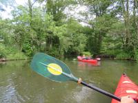 Paddeltour im Spreewald
