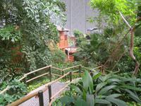 Dschungelpfad im Tropical Islands