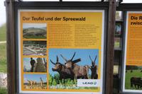 Infotafel in der Spreeaue