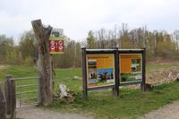 Infotafel am Aueroxenreservat in der Spreeaue
