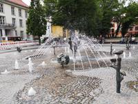 2_Stadtbesichtigung Rostock (53)