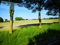 4_Rückfahrt von Rostock (4)