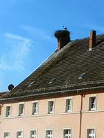 4_Rückfahrt von Rostock (11)