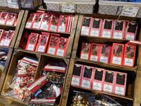 8_Usedom Anfahrt (13)