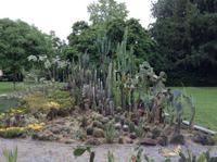 an der Bregenzer Uferpromenade