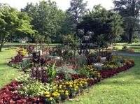 Blumenschmuck in Lindau