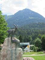 Blick auf den Jenner