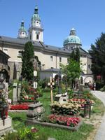 Salzburg:St.Peter Friedhof mit Domtürmen