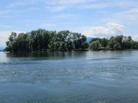 die unbewohnte Krautinsel im Chiemsee