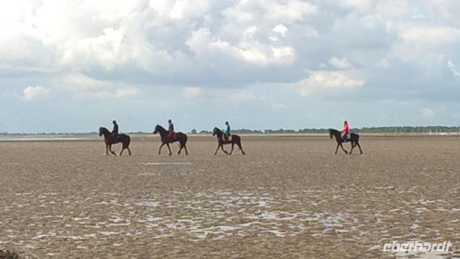 Wattwanderung in Schilling