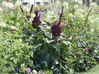 Bundesgartenschau Heilbronn