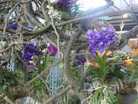 Bundesgartenschau Heilbronn