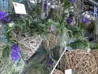 Bundesgartenschau Heilbronn