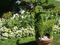 Blühendes Barock in Ludwigsburg