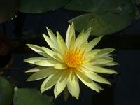 Blühendes Barock in Ludwigsburg