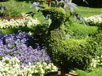 Blühendes Barock in Ludwigsburg