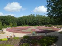 Lüneburger Heide Heidegarten