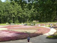 Lüneburger Heide Heidegarten