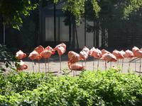 Vogelpark Walsrode