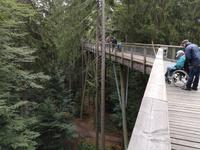 3 Baumwipfelpfad (9)